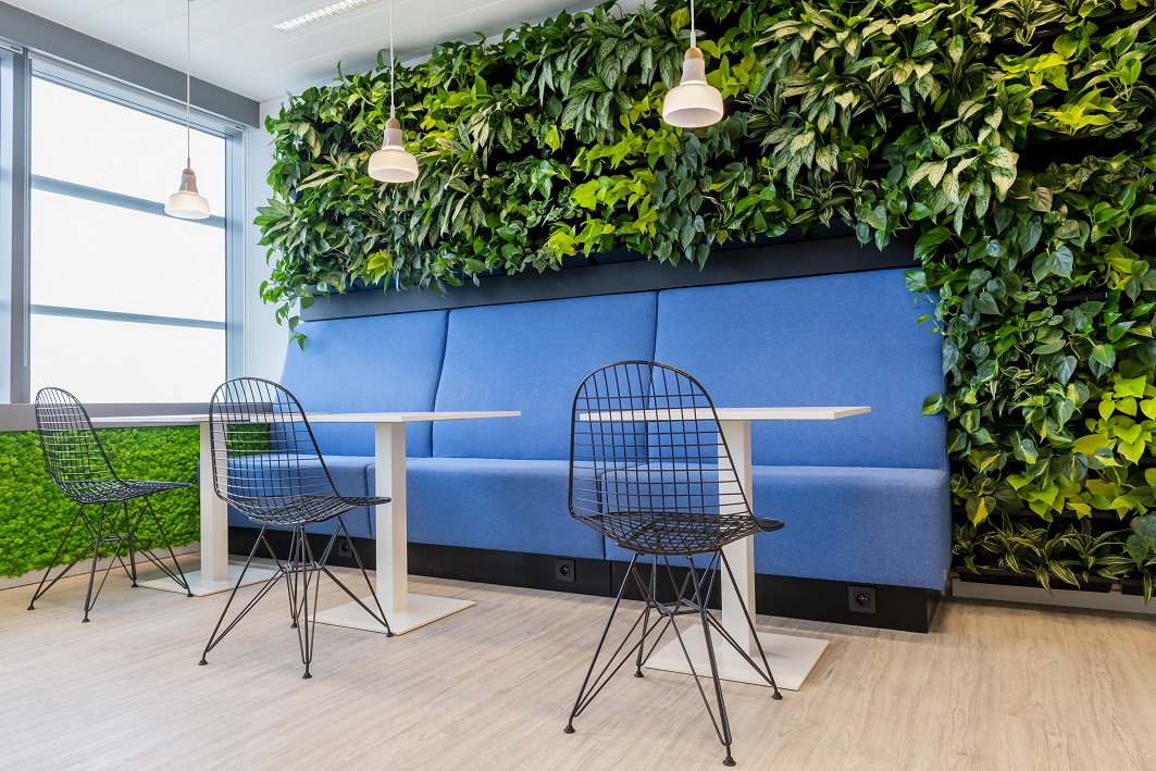 Station wimper meest Plantenmuur of verticale tuin op kantoor | Green Concept